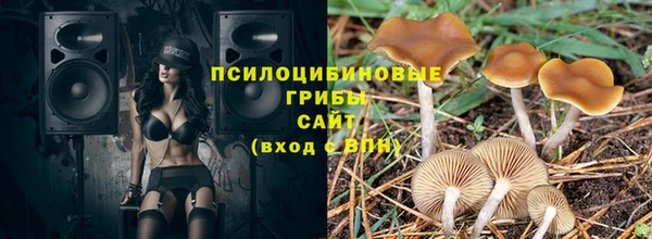 Альфа ПВП Армянск
