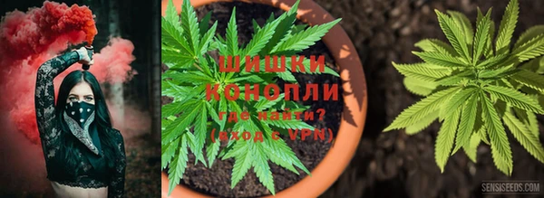соль курить ск Аркадак