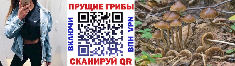 это состав  Россошь  Псилоцибиновые грибы MAGIC MUSHROOMS 